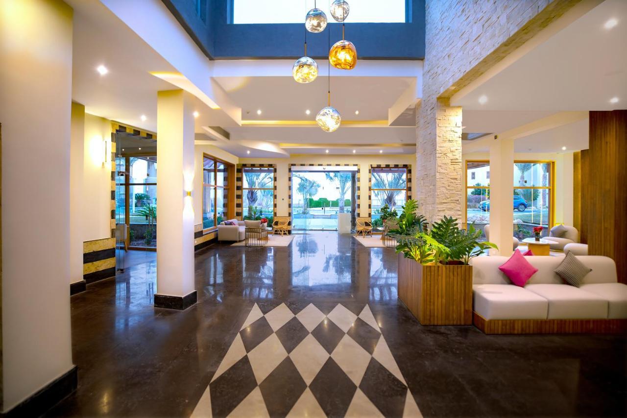 Complex Zen Sahl Hasheesh By Tbh